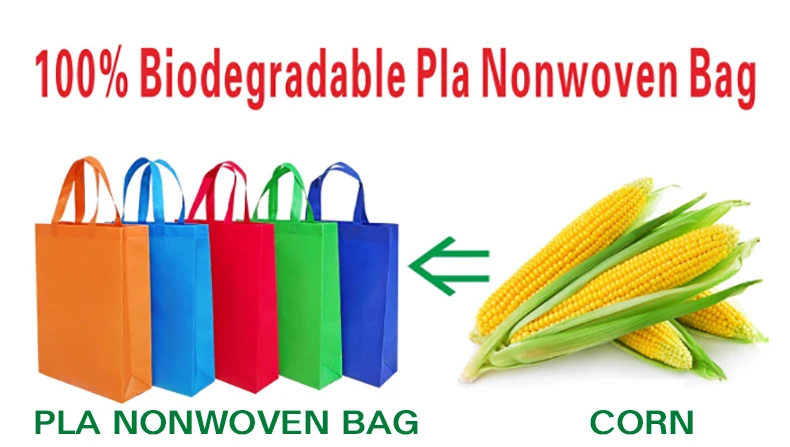 Wholesale Compostable PLA Shopping Bag 100% Biodegradable Plastic Bags -  China Plastic Bag and Biodegradable Bag price | Made-in-China.com
