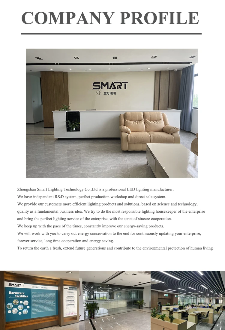 Company profile