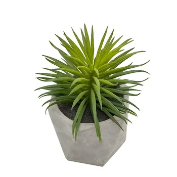 Wholesale Mini Artificial Succulents Faux Potted Plastic Plants With Pot For Dorm Room Indoor Decoration
