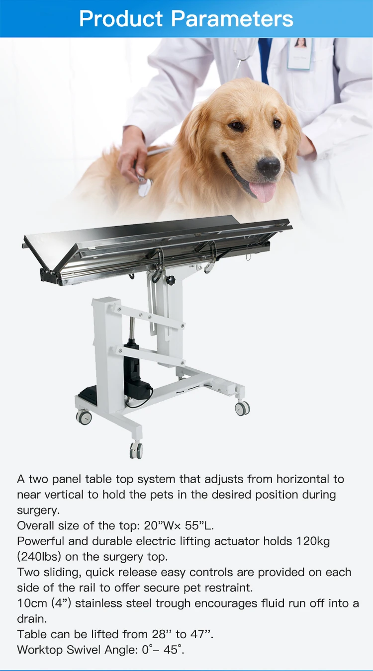 Stainless Steel Vet Clinic Surgical Table V Top Veterinary Operating ...