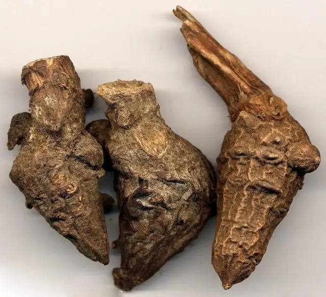 chinese plant extract aconite extract powder / aconitum