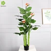 Plante florale du paradis de 160 cm