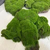 Green-03
