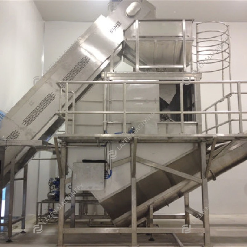 Turnkey Solution for Pumpkin Processing Line Production Plant
