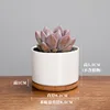 8*5.5 white porcelain