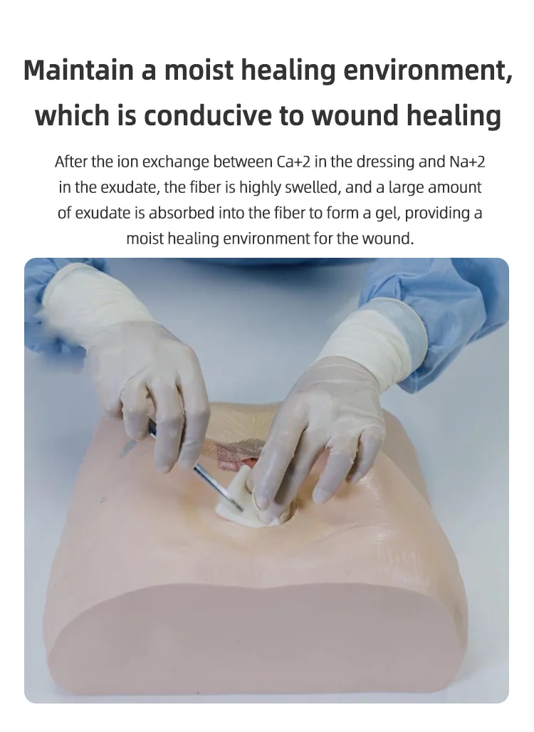 Suction Hemostasis Wound Packing Flexible And Multipurpose Cost