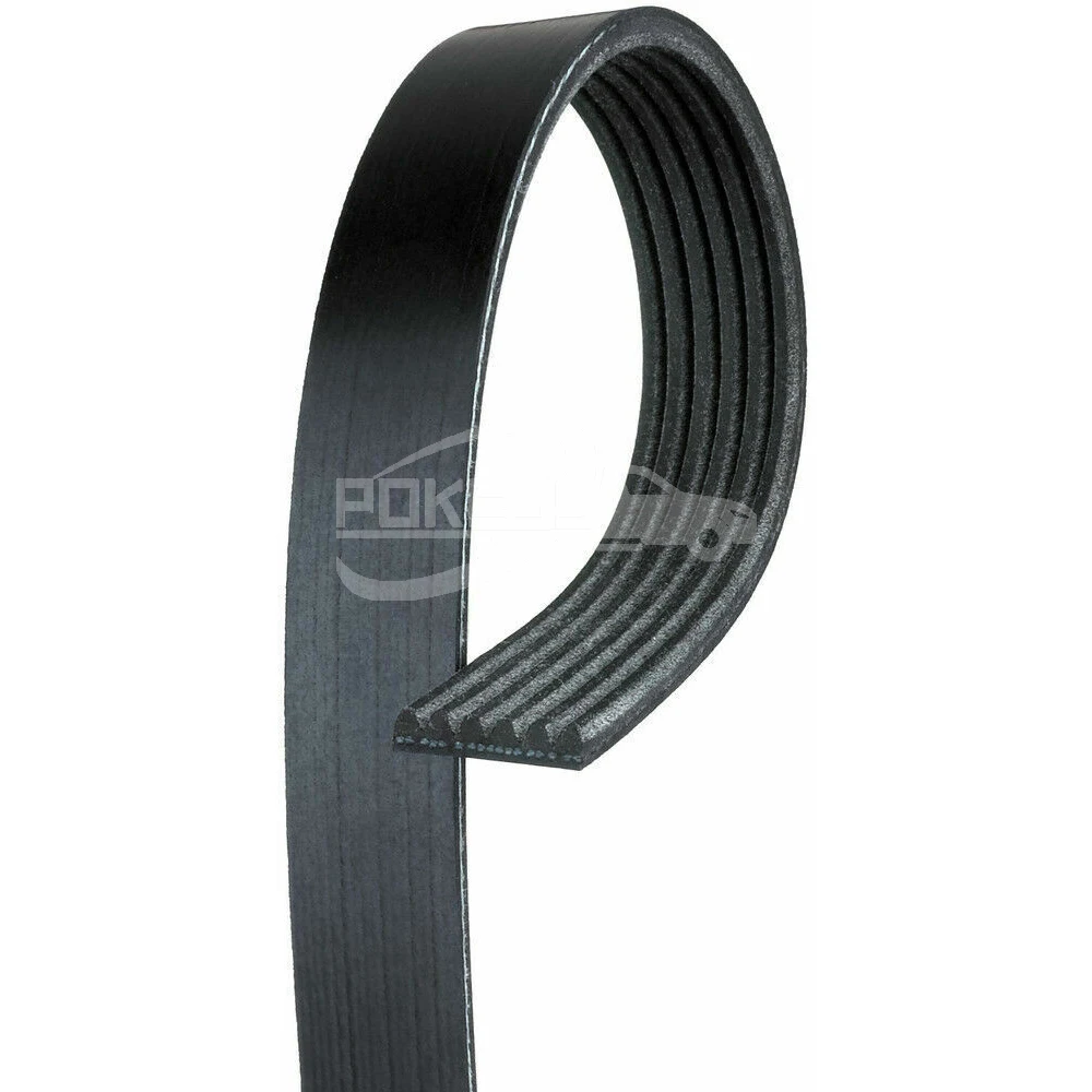 POKESS Belt Drive Kit F1EG6C301AA F1EZ8620A Drive V-Belt for Ford Focu... — 2