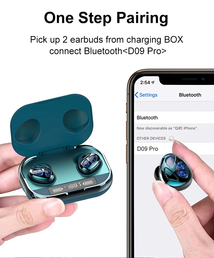 D09pro_06