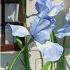 Sky Blue Single Flower Head, 31.50 inches in diameterche