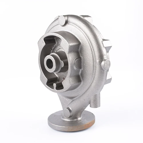 Iron Casting Custom OEM High Quality Pump Casing Cast Iton Pump Grey Body Raw Sand Iron Casting Industry Machinery LF ISO9001