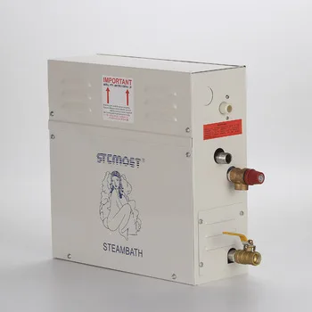 Оптовая продажа портативный Электрический парогенератор сауны 3 кВт 6 9 12