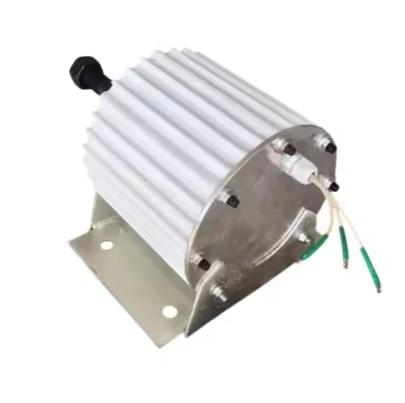 Factory Price Wind Turbine Use Hyrdo Use Synchronous 3 Phase 1kw dynamo Generate Electricity for Sale