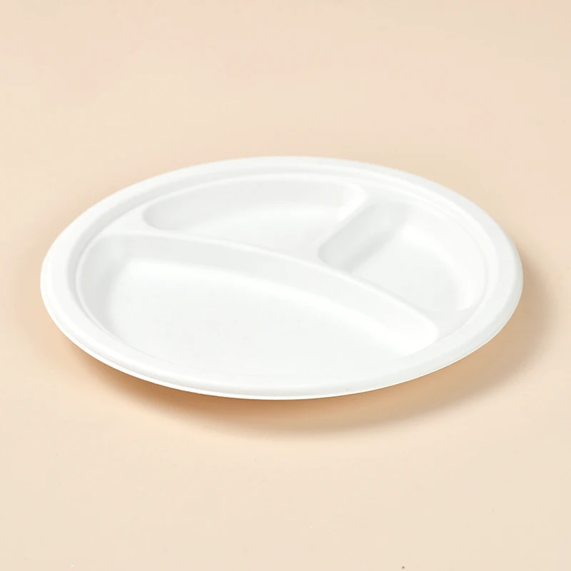 Disposable Biodegradable Plates Sugarcane Bagasse Paper Pulp Mould 6