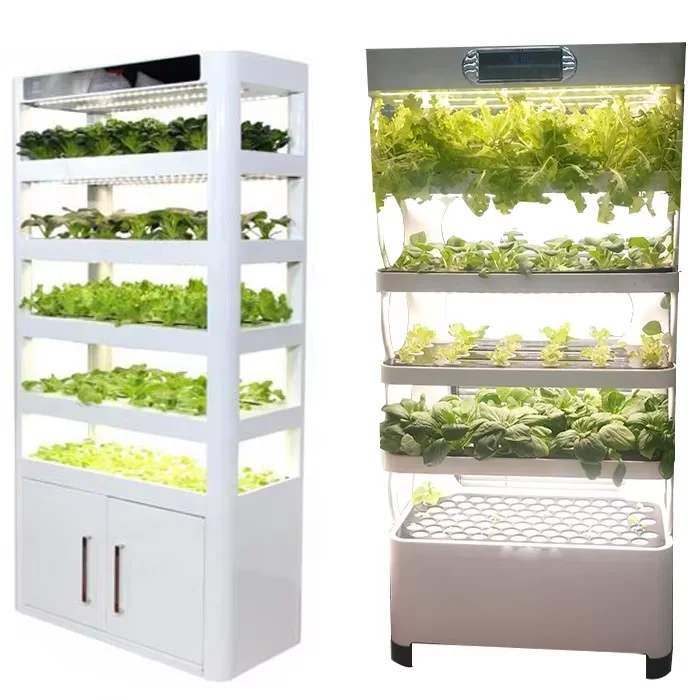 Home Grow System