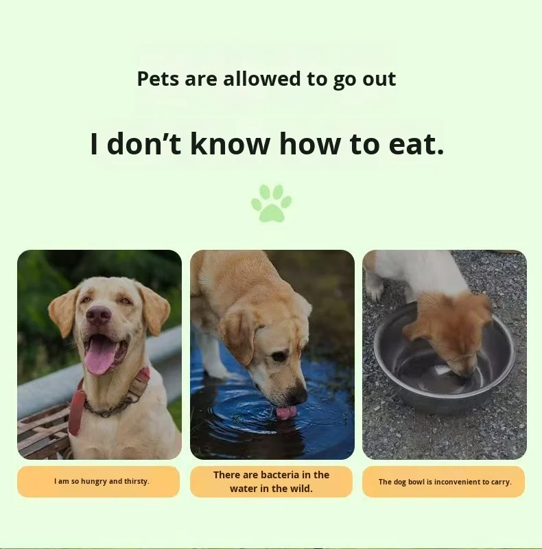 Multi-Capacity Silicone Slow Food Bowl for Dogs New Foldable Suction Cup with Multifunctional Folding Feature factory