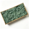Gray green