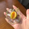 honeydew melon