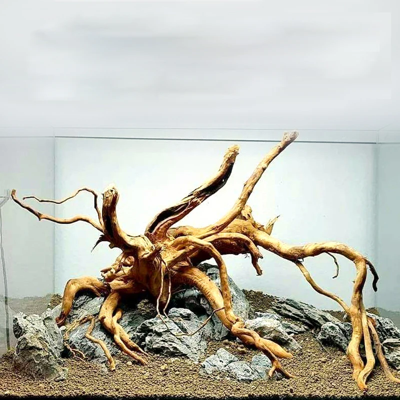Aquarium Fischbecken Landschaftsgestaltung Dekoration Natrliche  Rhododendron-Wurzel Treibholz| Alibaba.com