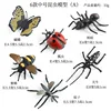 ZZ Medium Insect 6 Set A