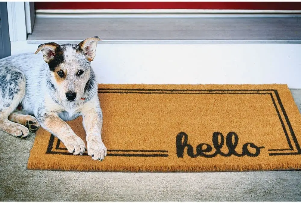 Nature Coco Coir Floor Carpet Rug Step Entrance Small Door Mat