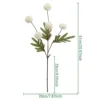 AL164-215-1 Blanc