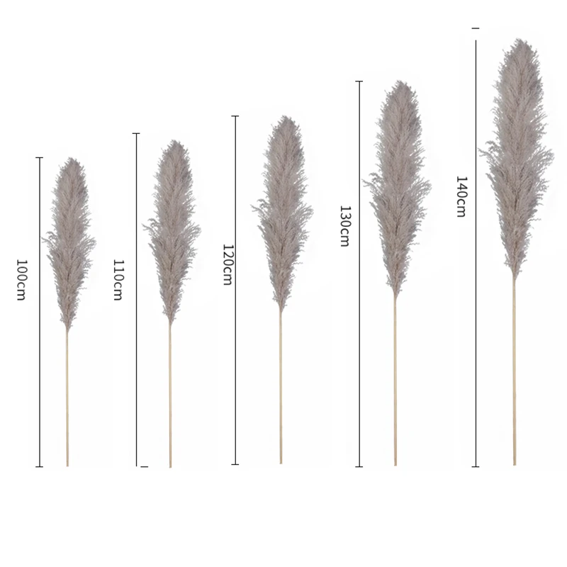 product hot selling dried natural flowers 120cm long preserved dry large fluffy pampas grass for wedding home decoration-56