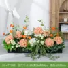 HC-AT739 [Suitable for 100cm flower boxes]