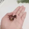 Natural Color