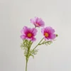 Viola chiaro