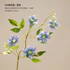 Blue Clematis