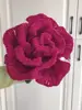 Rosa rossa