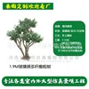 1.9m tall fiberglass multi-trunk olive tree (deposit link)