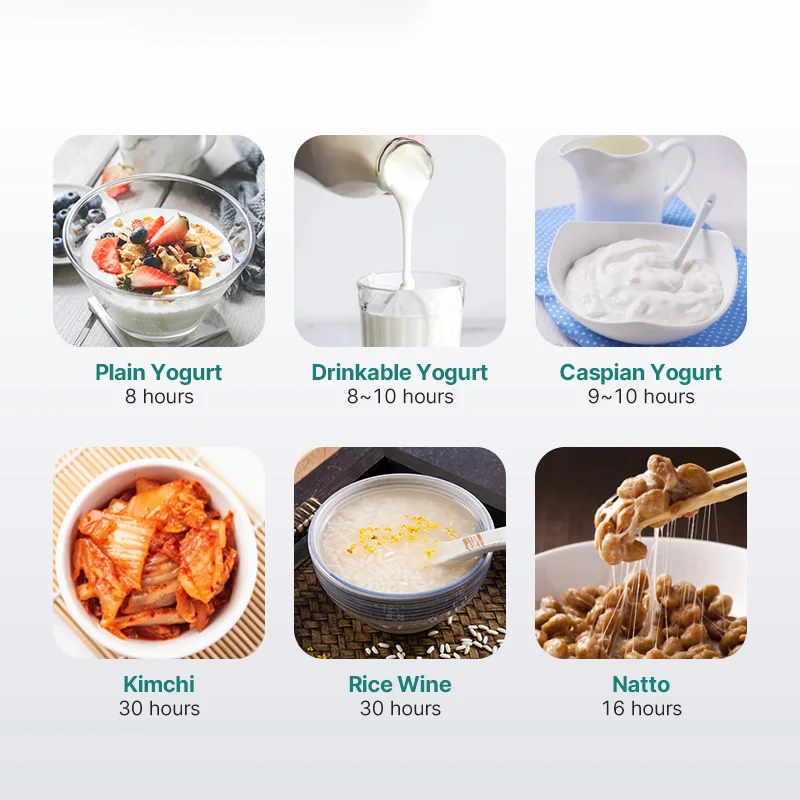 1000 мл машина для приготовления йогурта, коммерческий портативный производитель греческого йогурта для дома