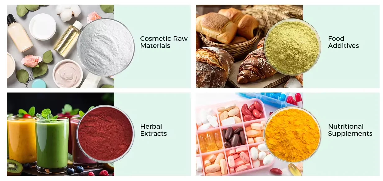 Natural Freeze Dried Acai Concentrate Powder Acai Berry Powder Water Soluble Brazil Acai Berry Fruit Juice Powder for Drink