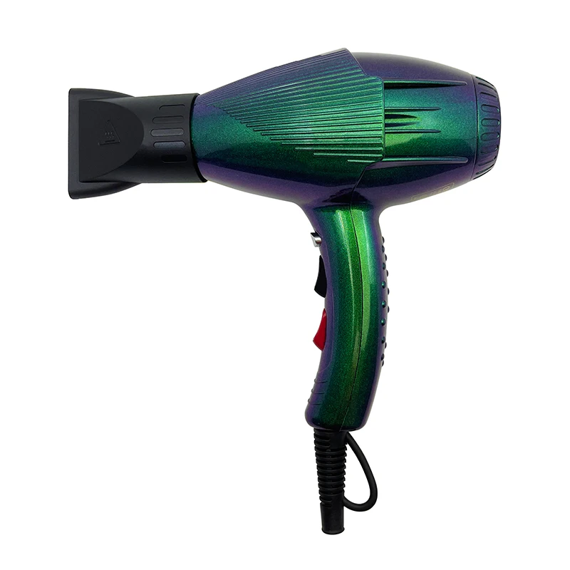 Professional High Speed Ionic Hair Dryer Set Salons Custom Blow Dryer  Intelligent Heat Control AC Motor Electric Power Source