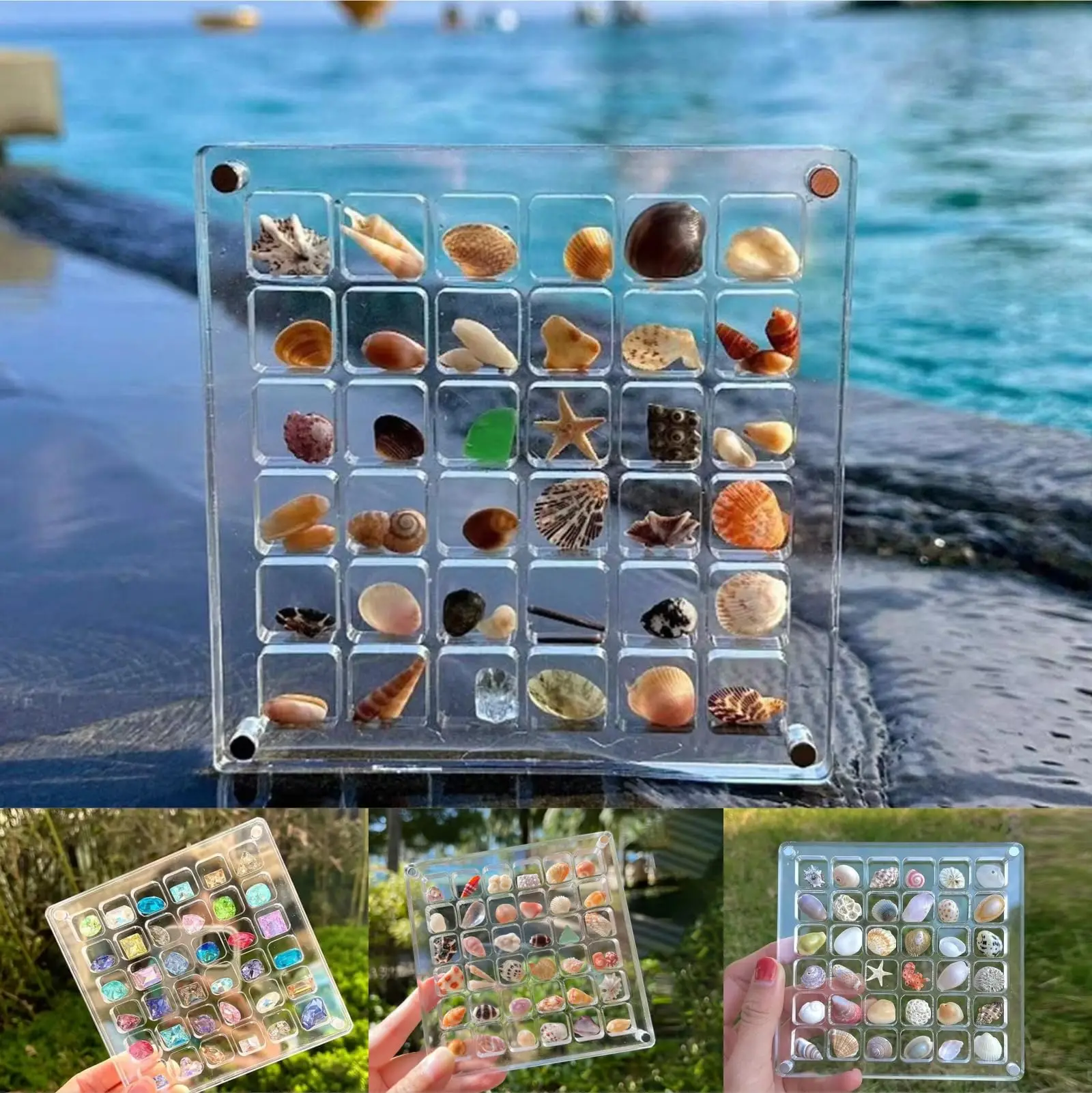 32/64 Grids Acrylic Magnetic Seashell Starfish Display Box Nail Diamond Gemstone Bead Jewelry Organizers Container