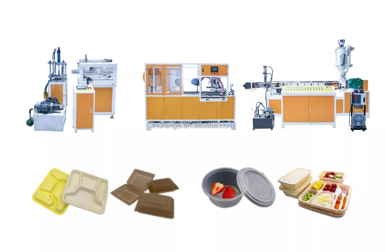 Plastic Disposable Lunch Box Food Container Clamshell Box Vacuum