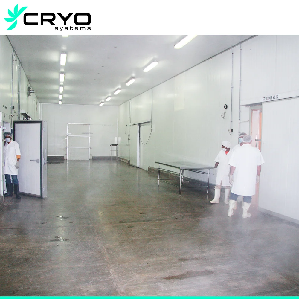 Cold Storage 50 Ton Chicken Blast Freezer Blast Chiller Blast Freezers Rooms