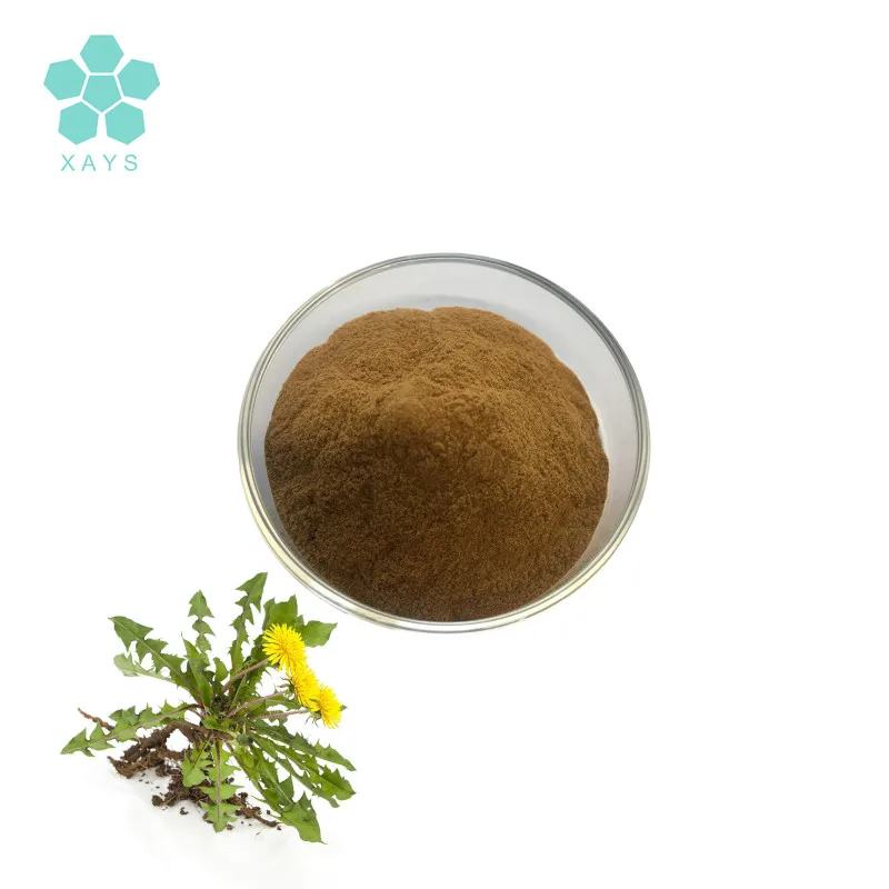 COA Concentrate Dandelion Root Extract Powder