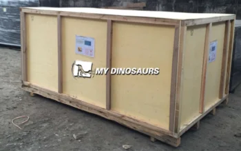 Wholesale Meu dinossauro t-rex xj244, fósilos esqueleto para compras From  m.alibaba.com