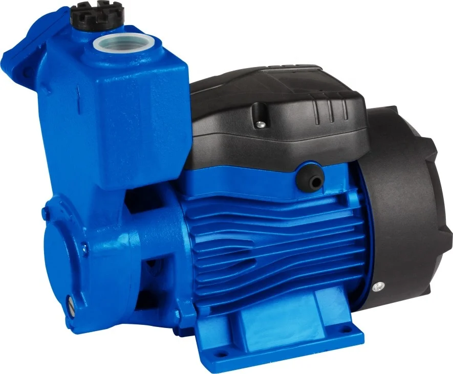 Peripheral Water Pump0.5HP with Thermal Protector (QB60)