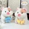 สตาร์มูน หนูตะเภาตัวน้อย 20ซม