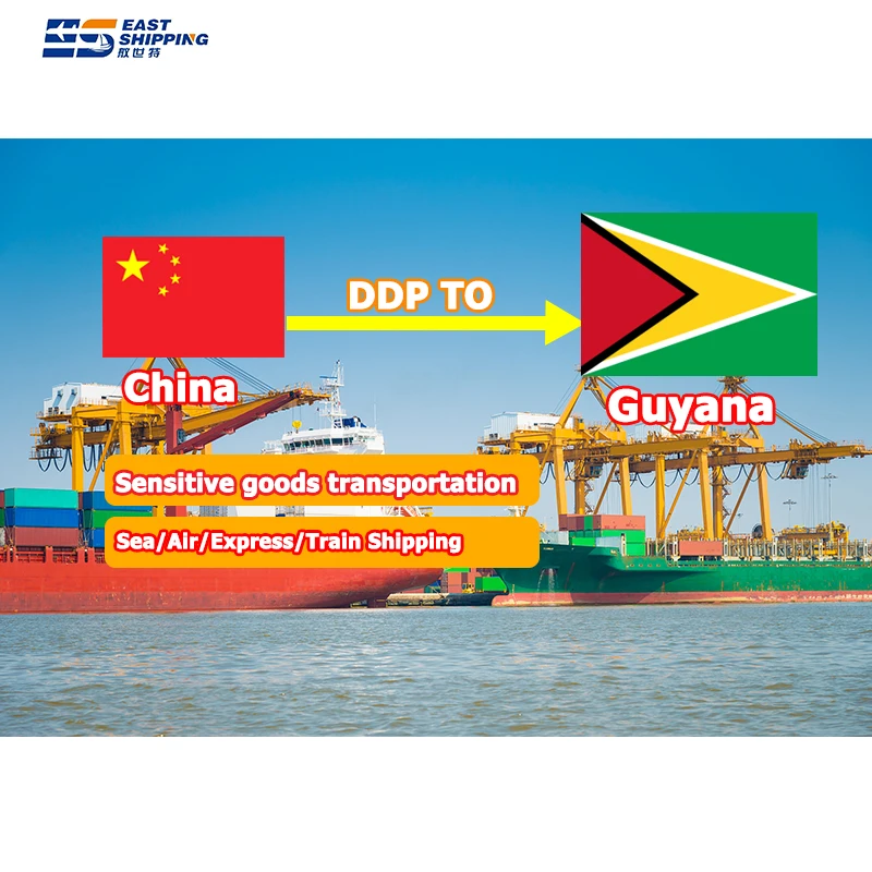 China To Guyana Ecuador Mexico FOB Venezuela Colombia Netherlands To Dominican China Shipping Agent Freight DDP Forwarder