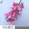 10 Orquídeas Cybidium, JLK, de color rosa oscuro
