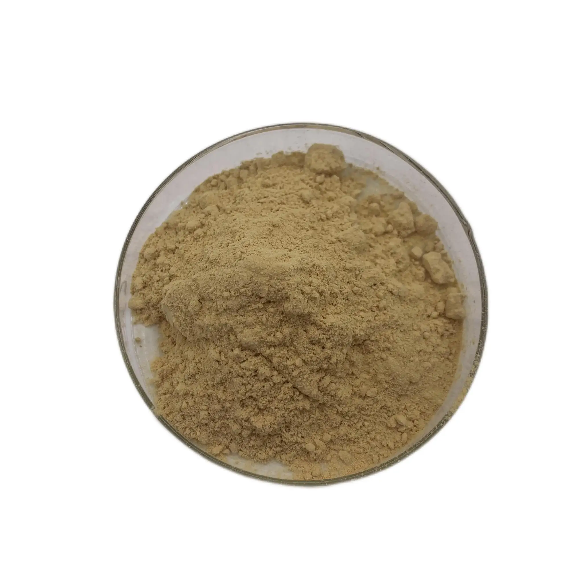 Pure Dimocarpus Longan Extract Dried Longan Fruit Powder Longan Fruit/ Seed Extract