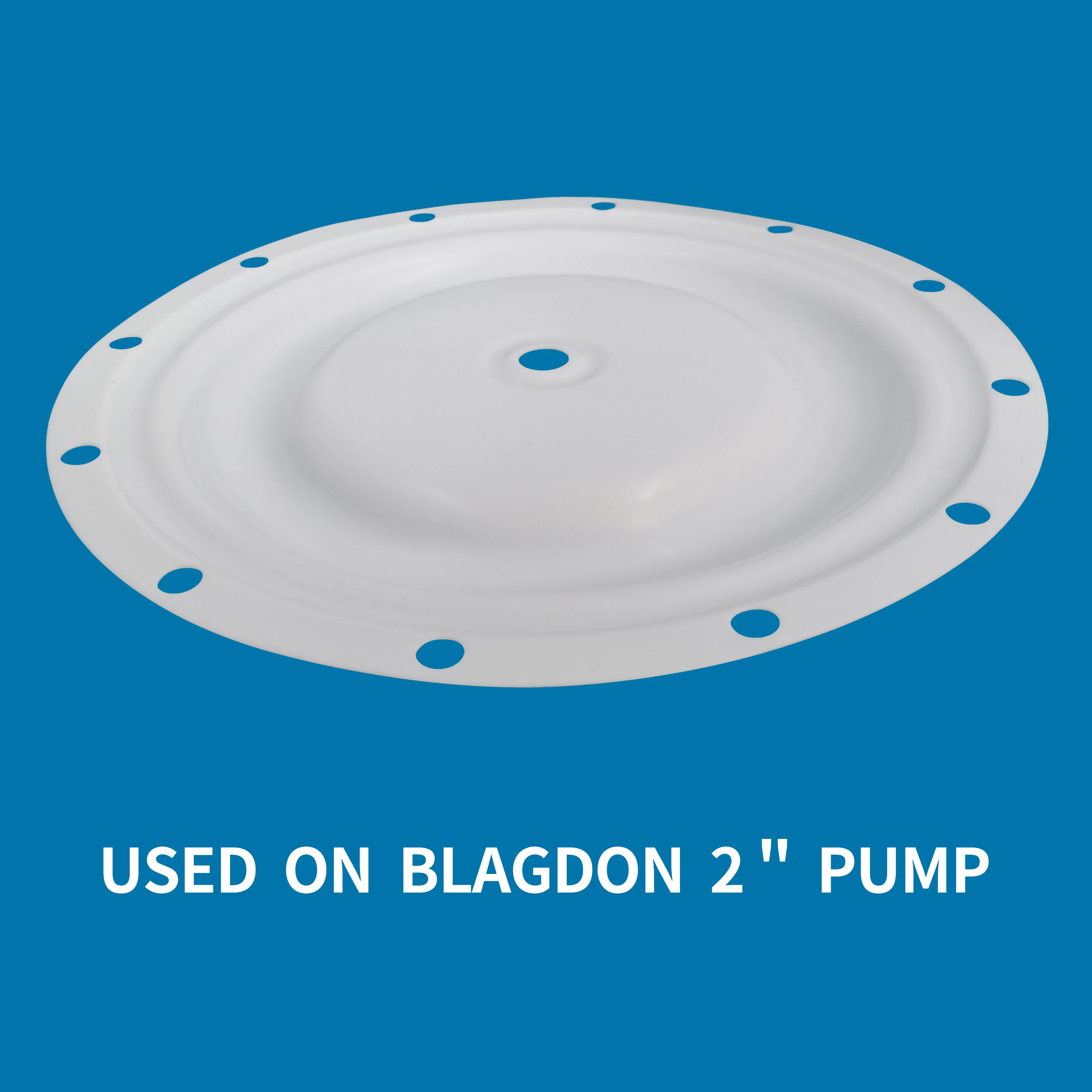 CF1B039 Diaphragm supplier