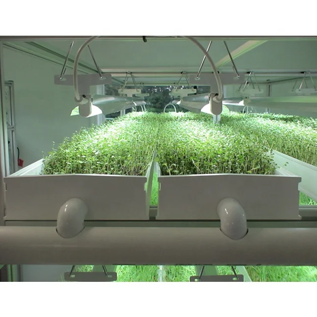 Hydroponic Fodder Growing System Hydroponic Fodder Cultivation