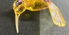 giallo