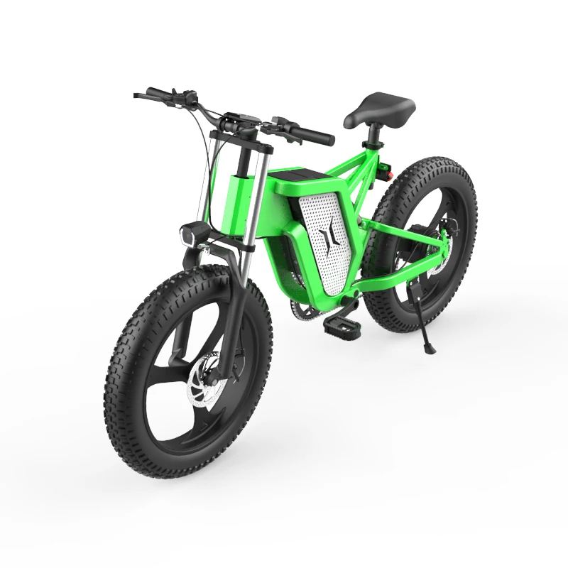 Biciclette A Lungo Raggio Nuovo Stile Bicicletta Elettrica A Due Posti  Ebike Bicicletta Elettrica A Due Ruote Per 2 Persone - Buy Biciclette Per  La Vendita,Rifornimento Della Fabbrica Di Bici Elettrica,Bici Pieghevole