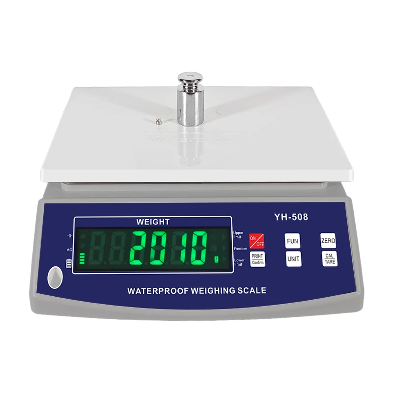 High Precision Electronic Weighing Scale Digital Small Scale Industries Machines Japan